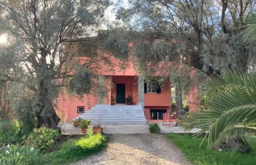 Olive Garden - Foto 1