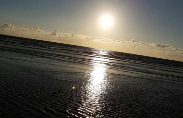 FEWO auf dem Lande / nahe SPO - Foto 159