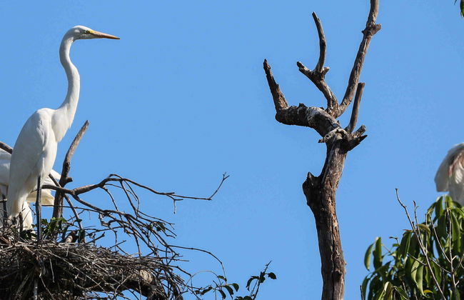 Salamanca Island Road Park Hiking Tour - Foto 1