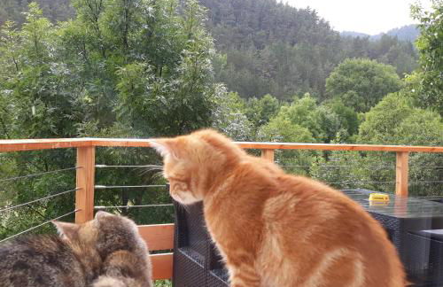 Domaine du vieux tilleul- Appartements - Gorges Tarn et Jonte - Foto 46