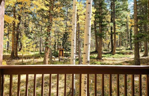 Pikes Peak Retreat - Photo 44