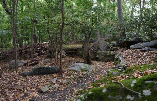 Midcentury Modern ZenHouse Sculptor Studio - Foto 55