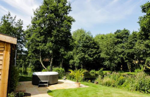 Kingfisher - Foto 18