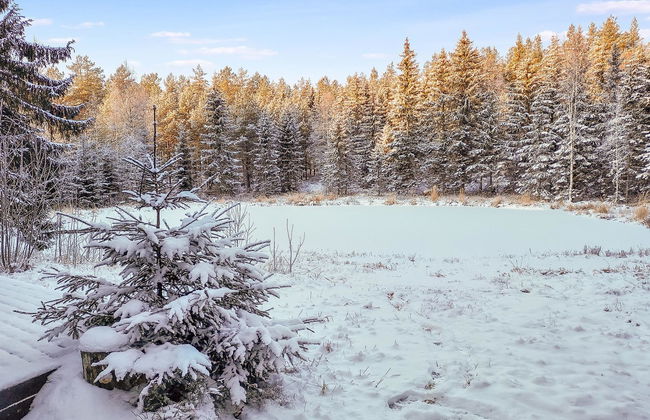 Päivärinne - Foto 8