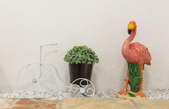 DELEDDA HOME - Foto 5