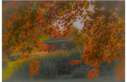 Mountbatten Shepherds hut & Buckhurst Shepherds hut - Foto 10