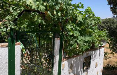 Vivienda Rural Cardera Sierra de Cazorla - Foto 11