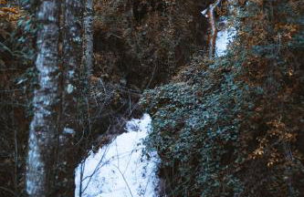 Casa da Merelhe - Foto 40