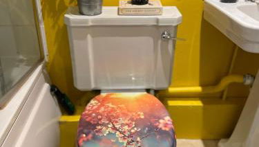 Comfy child/dog friendly garden flat heart Camden - Foto 4