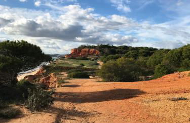 AP Roberand - Foto 21