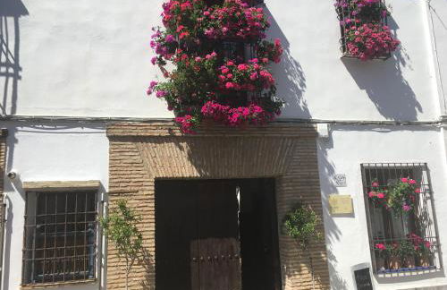 La Condesa de Vallellano - Foto 36