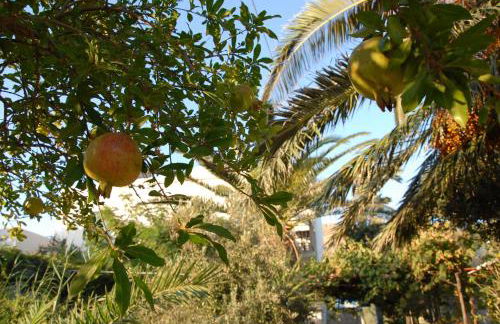 Lilo's Apartments - Foto 5