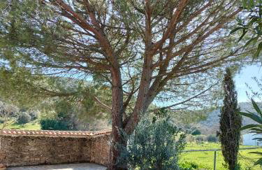 Casa Celia - Foto 15