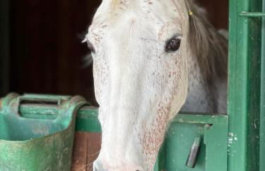 Agriturismo Sole - Foto 77