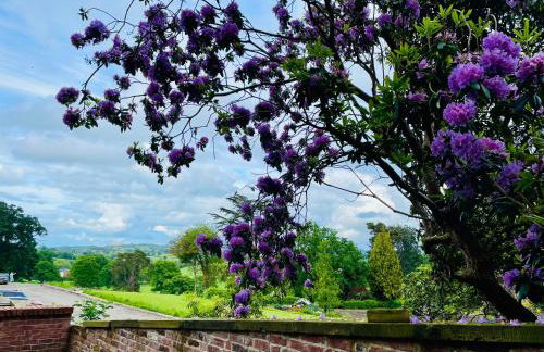 Apartment at Llanerchydol Hall - Foto 21
