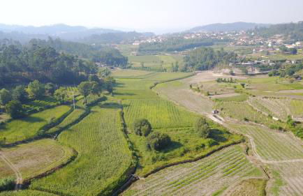 Quinta d'Areda Wine&Pool Experience - Foto 70