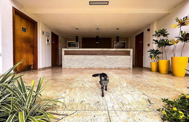 Apart Hotel Paraíso das Águas to OZPED Flats - Foto 1