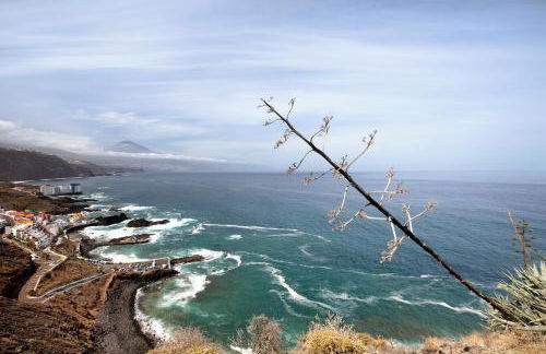 Apartamento La Morena 3a - Foto 20