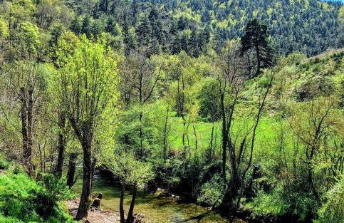 Gîte Alauze Cévennes avec Jacuzzi - Foto 10