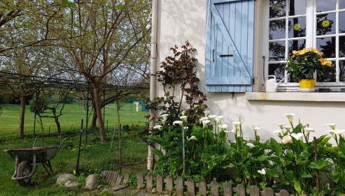 Monica di Sorbo - Foto 5, Garden view