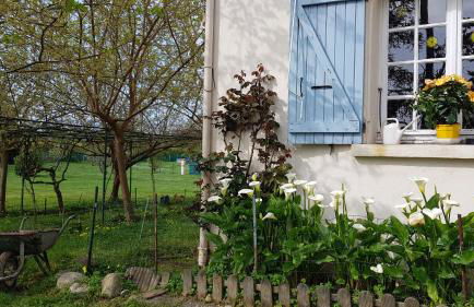 Monica di Sorbo - Foto 5