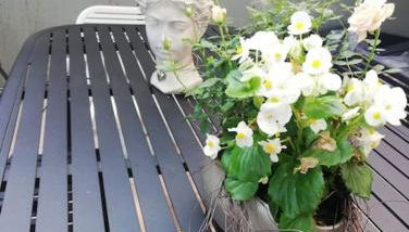 Wohnung Elisabeth - Parkblick - Am Buhl'schen Park 40 - zentrumsnah - Foto 3