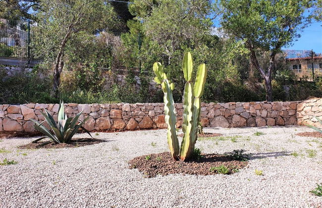 Mor010 in Torre Vado - Photo 30