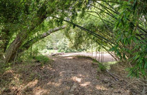 Historic Nature Retreat in McComb with River Access - Foto 29