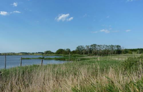 Ferienhaus - Mittendrin - Foto 37
