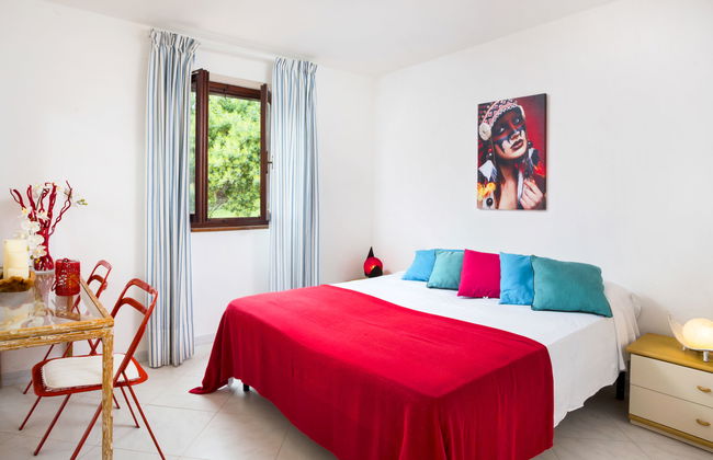 Bougainvillae Bilo - Foto 4