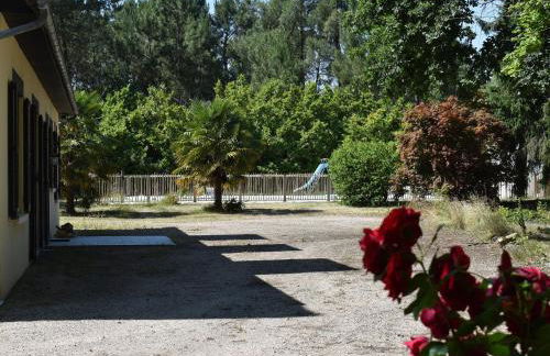 Gîte calme et paisible en forêt, idéal pour famille et amis - FR-1-410-486 - Foto 21