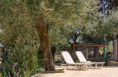 Olive Grove Poolside Apartments - Foto 45
