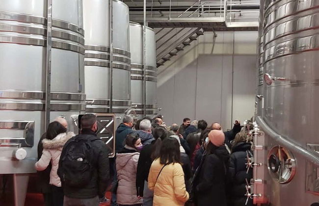 Convento Oreja Winery Visit - Foto 1