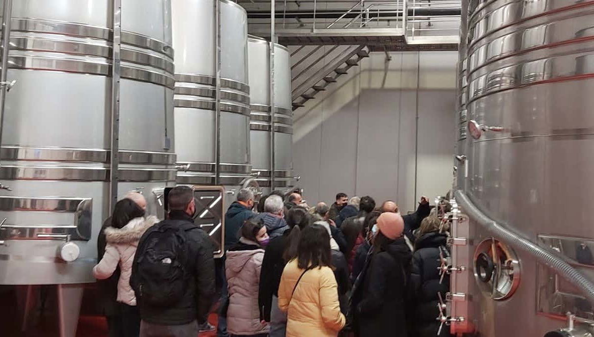 Convento Oreja Winery Visit