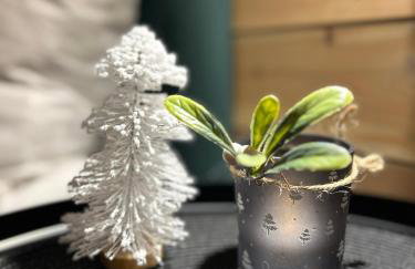 DOMKI BURSZTYN - Foto 69