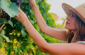 Terra Hélios Suites & Studios - Foto 9