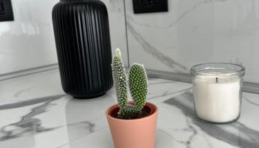 Baru's Home - Foto 4