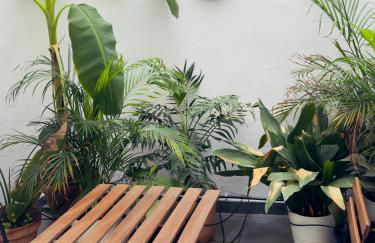 Apartamento San Pedro-Corredera - Foto 1