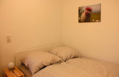 Harzhaus Drei Hexen - Foto 44