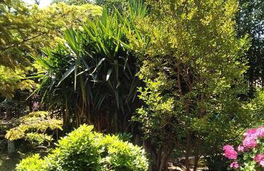 Villa Serenity a luxury relaxing retreat with swimming pool in Kymi Euboea - Foto 141