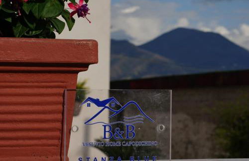 Vesuvio Home Capodichino Blu - Photo 57