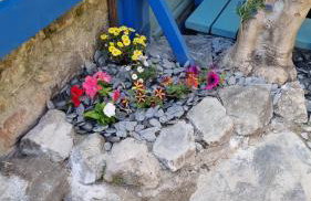 Primrose Cottage - Foto 52