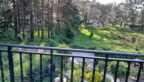 La terraza de Isabel - Photo 3