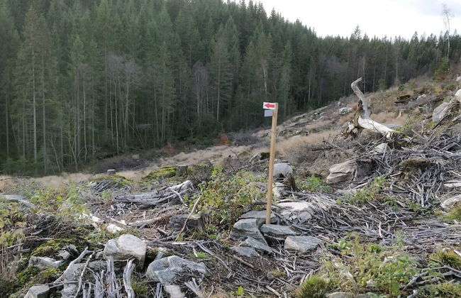 2 Person Holiday Home in Aplared-by Traum - Foto 16