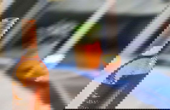 Alpin Motel & Conference Centre - Foto 31