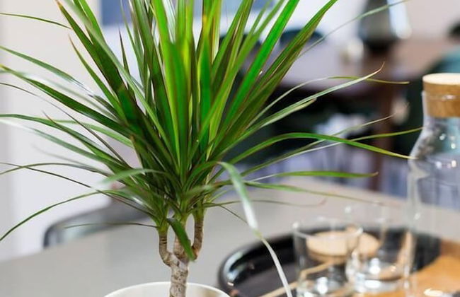 Brand New 3 Bedroom With Rooftop Patio - Foto 68