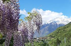 LAnJA ihr besonderes Urlaubszuhause - Foto 16