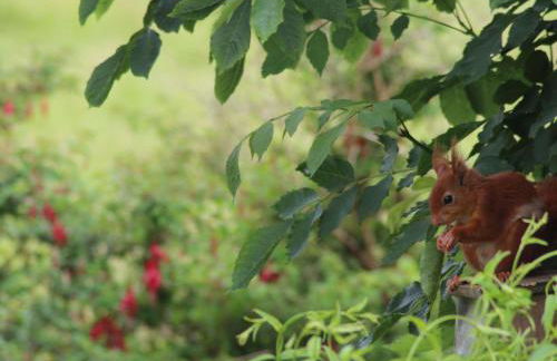 Millbrook Cottage - Foto 30