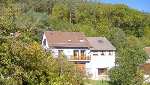 Au nid de la foret - Foto 5