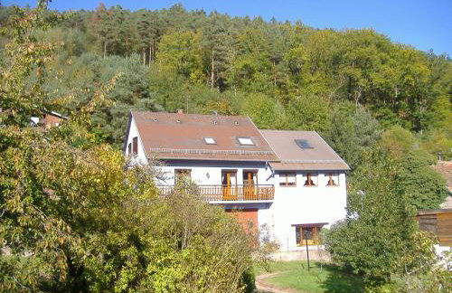 Au nid de la foret - Foto 5